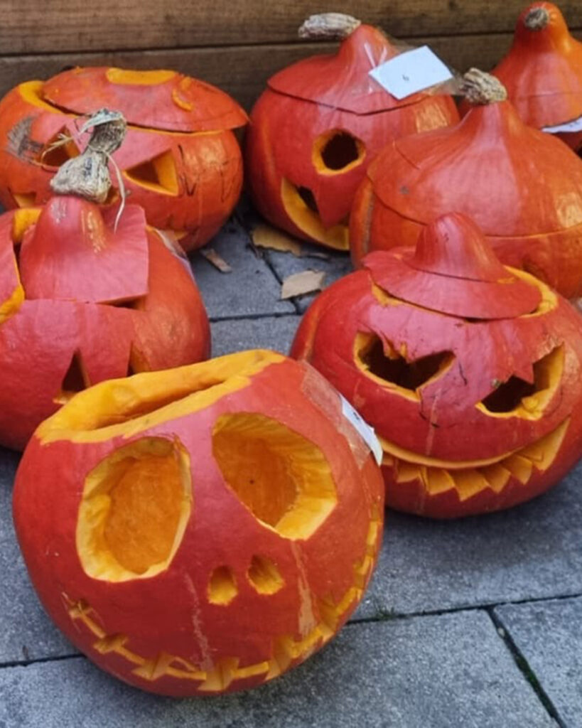 Mehrere geschnitzte Kürbisse mit großen Augen und gezackten Mündern sind auf der Halloween-Party des BUSSTOP Familienzentrums auf grauen Pflastersteinen ausgestellt. Einige haben ihre Köpfe schief oder sind mit kleinen weißen Etiketten versehen.