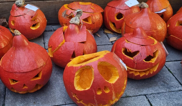 Mehrere geschnitzte Kürbisse mit gruseligen Gesichtern sind auf Steinplatten im Außenbereich der BUSSTOP Familienzentrum Halloween Party ausgestellt, jeder mit einem einzigartigen Gesichtsausdruck. Bei den orangefarbenen Kürbissen sind die Spitzen schräg aufgesetzt.